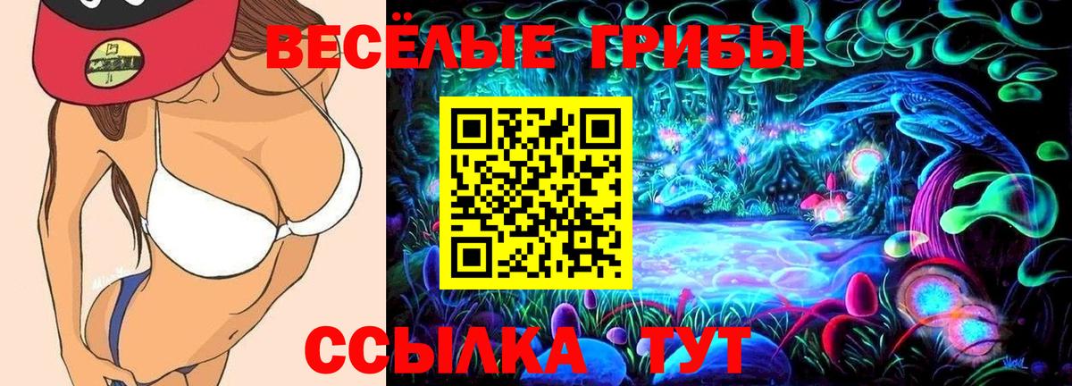 Кохма  цены   Вход с VPN  Псилоцибиновые грибы прущие грибы  Галлюциногенные грибы MAGIC MUSHROOMS 