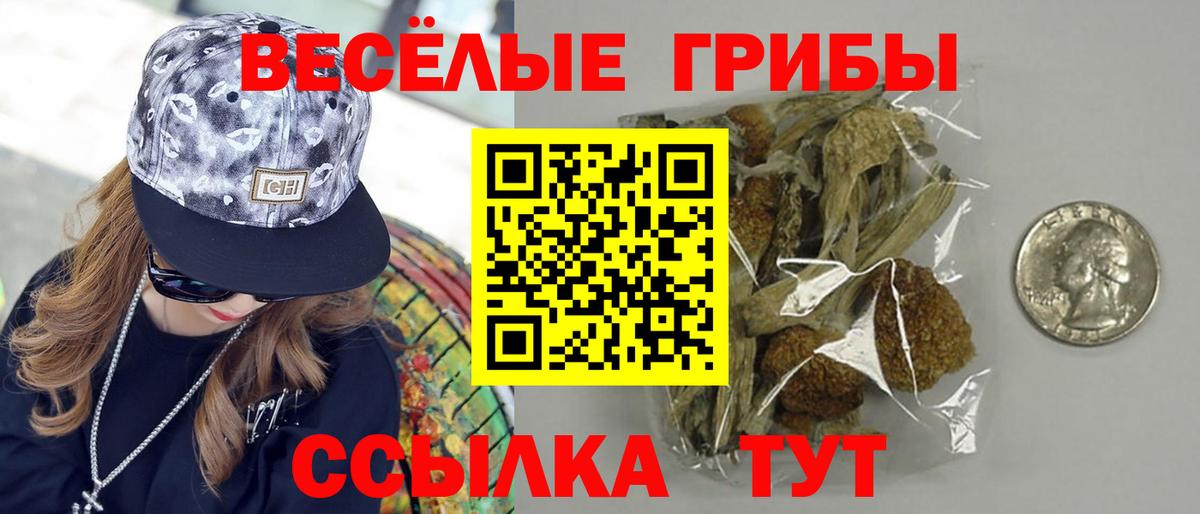 Псилоцибиновые грибы MAGIC MUSHROOMS Кохма